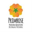 Big Little Things/Primrose Bilingual Preschools